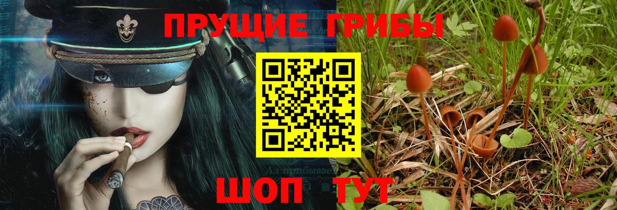 Псилоцибиновые грибы MAGIC MUSHROOMS  Псилоцибиновые грибы Psilocybine cubensis  Камышин  Вход с VPN 
